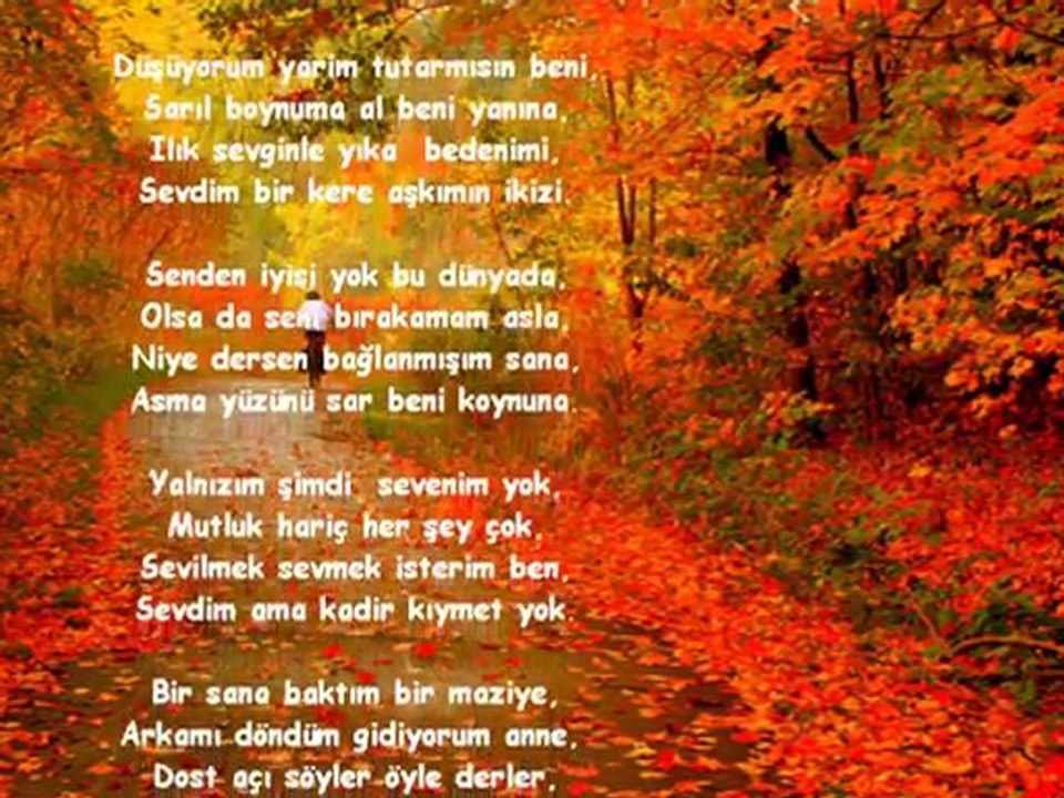 Bir sana baktım Bir maziye-BesTekar-Rapcii