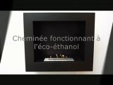 Vidéo de présentation des cheminées au Bio éthanol NEOFLAME