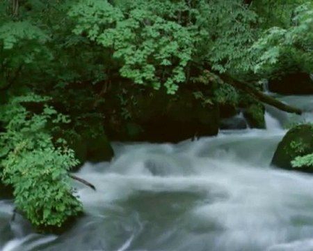 Öyle Bir Gözyaşı Ver Ki Yâ Rabbî (şiir) - Cengiz Numanoğlu
