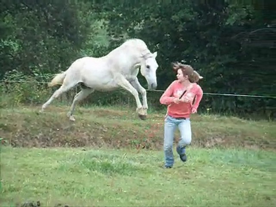 extraits vidéo iloon été 2010