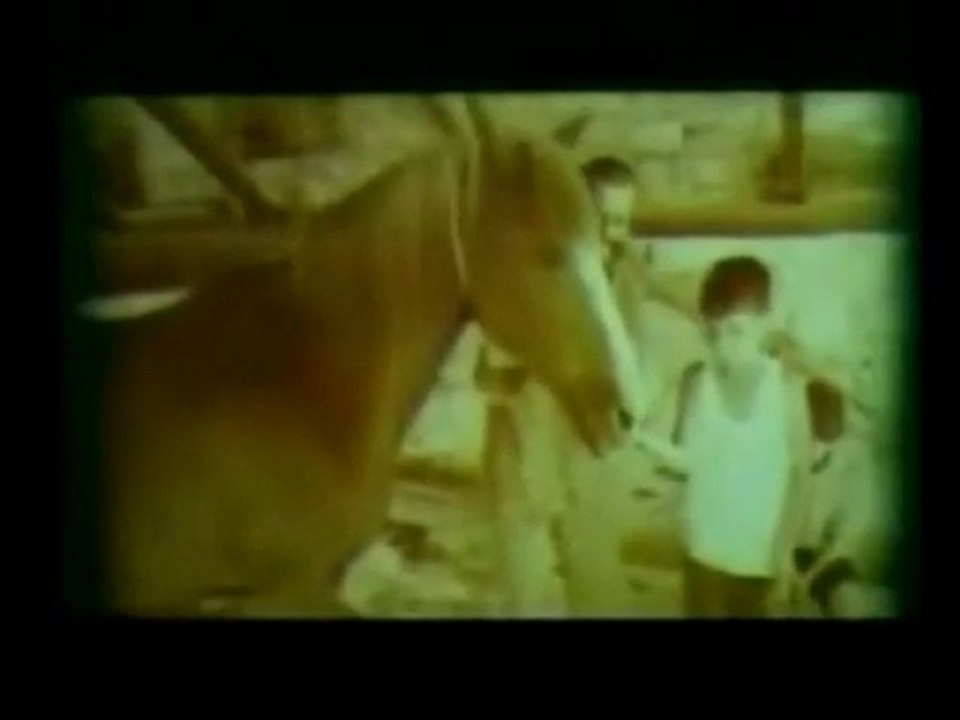 BABAM VE OĞLUM