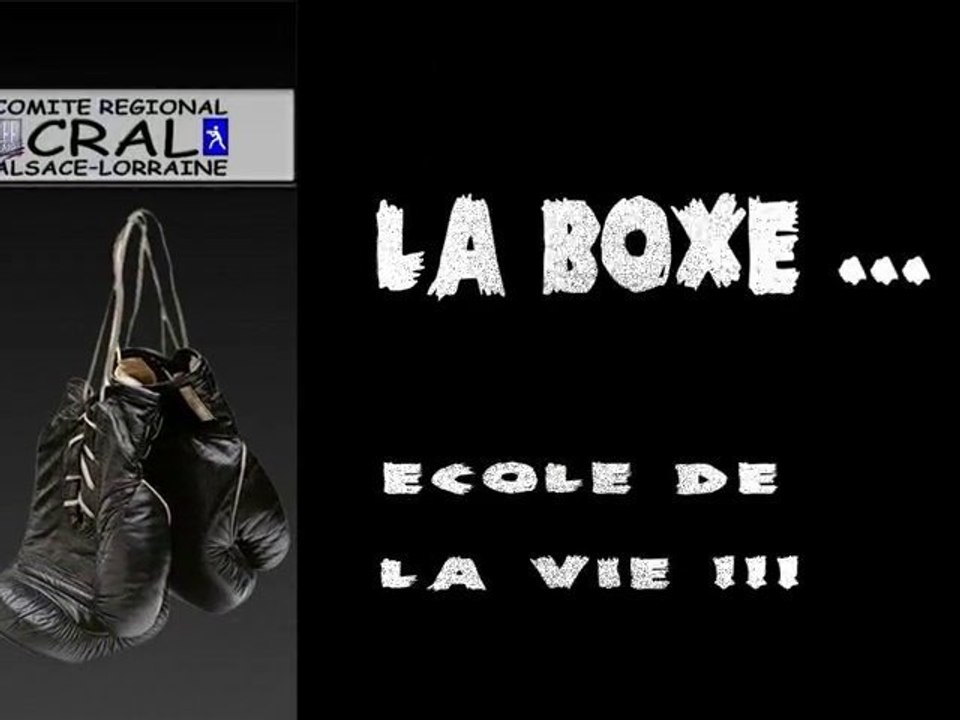 2010 CRAL Boxe