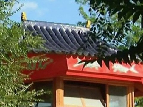 Two newborn pandas latest additions at Madrid Zoo