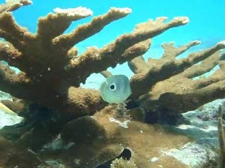 Beneath The Waters of Mandahl Bay Earth Promo 2010