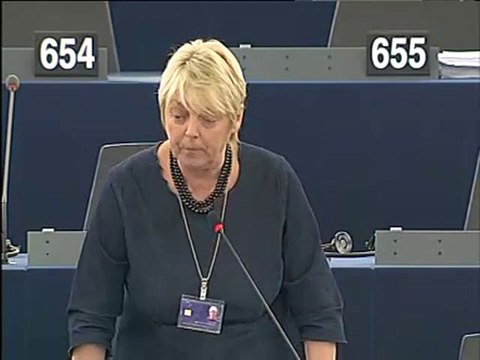 Annemie Neyts-Uyttebroeck on Israeli NGOs