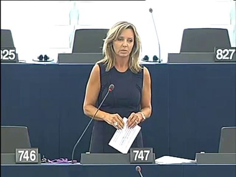 Frédérique Ries on Israeli NGOs