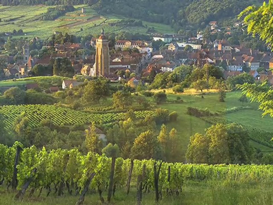 Commanderie des Nobles Vis du Jura et du Comté