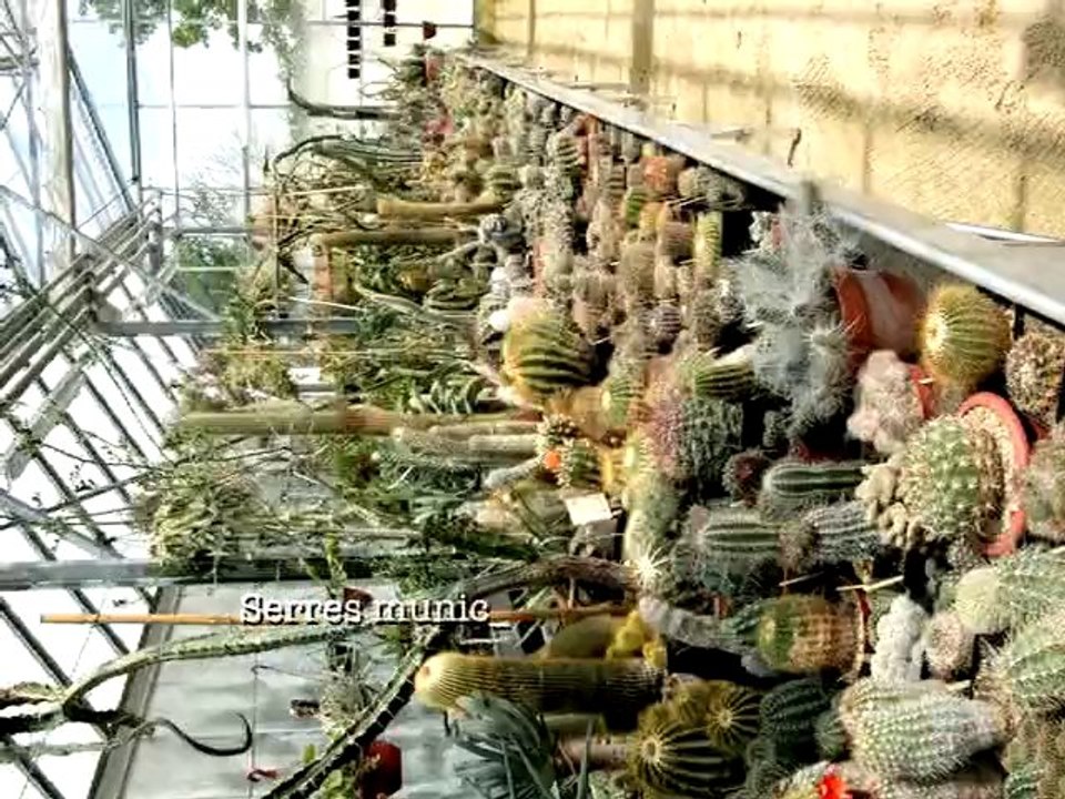 Journées Européennes du patrimoine à Mérignac