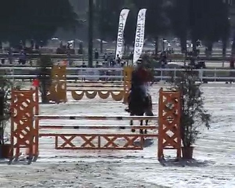 Paddy sur le cso - Jardy sept 2010