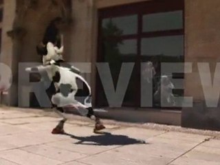 Crazy Cow - I like to Muh Muh