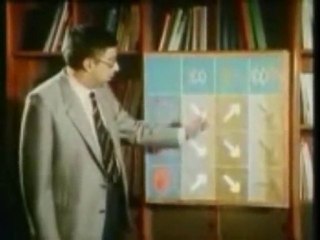 Le projet de BAC 2011 par Roberto