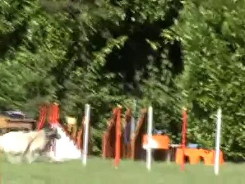 Bourgoin Vanille 1er degré