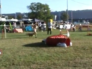 Bourgoin Chanel jumping