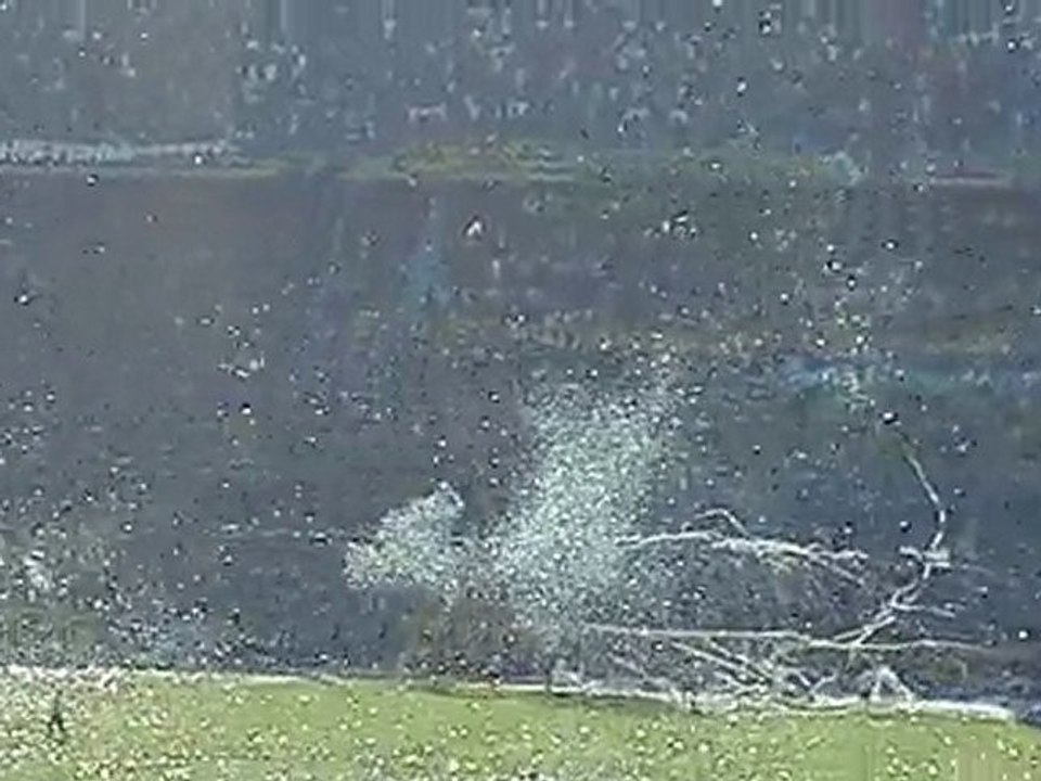 Boca Juniors - River Plate / Superclasico 2010 / Boca2