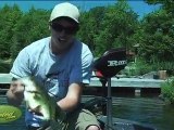 Largemouth Bass Fishing (4.7 lb bass hauled in)