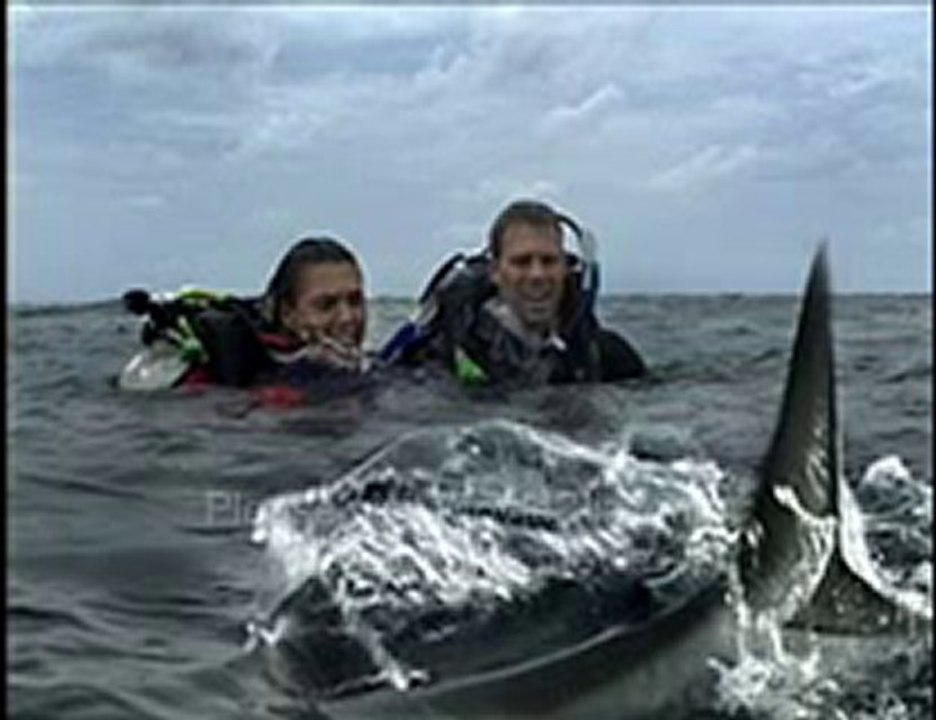 Open Water (2003) Part 1 of 14
