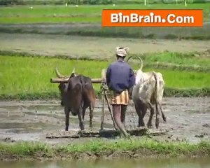 Nature in Kanyakumari