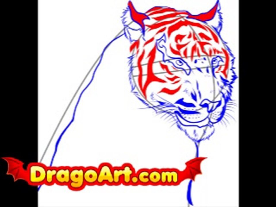 How to draw a realistic tiger, step by step