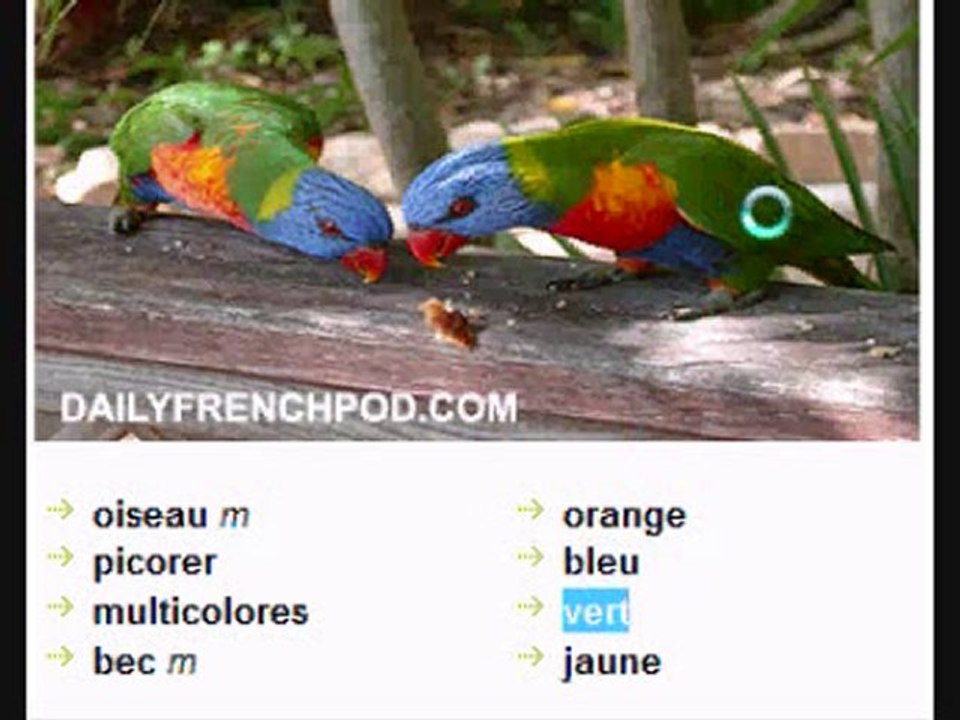 Learn French