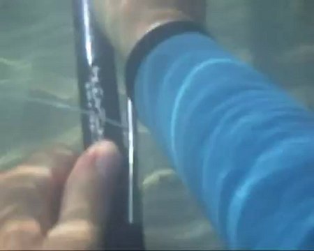 2010-gag-chasse-sous-marine