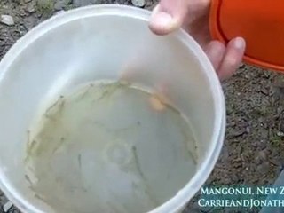 Whitebaiting on a farm in Northland, New Zealand