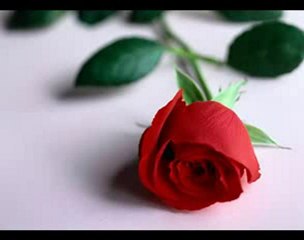 MUSTAFA CİHAD AMENNA