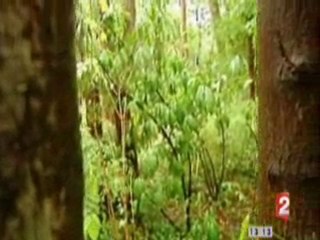 Bas les masques au jité