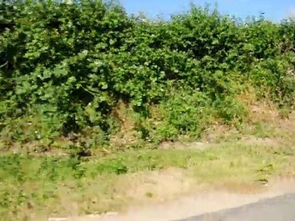 Randonnée solex Montreuille sur mer
