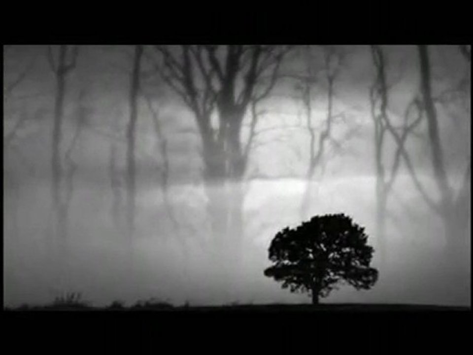 Yaşadıklarımdan Öğrendiğim Birşey Var