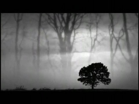 Yaşadıklarımdan Öğrendiğim Birşey Var