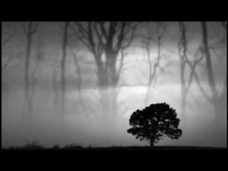 Yaşadıklarımdan Öğrendiğim Birşey Var