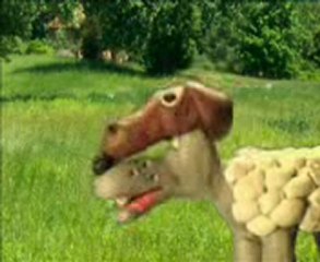 turk_cigo@hotmail.com