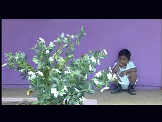 LE TRESOR DE LOS MANGOS, bande-annonce