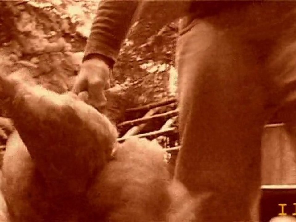 Il était huit heures