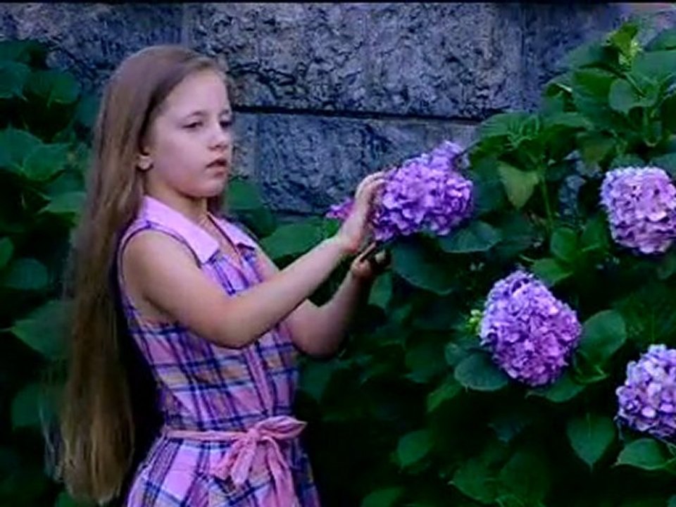sarı çiçek 5