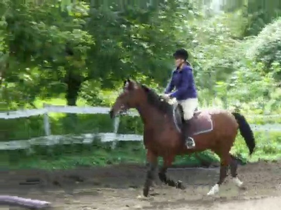 DSCF4401
