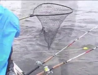 Learn To Catch Catfish Intro Compilation