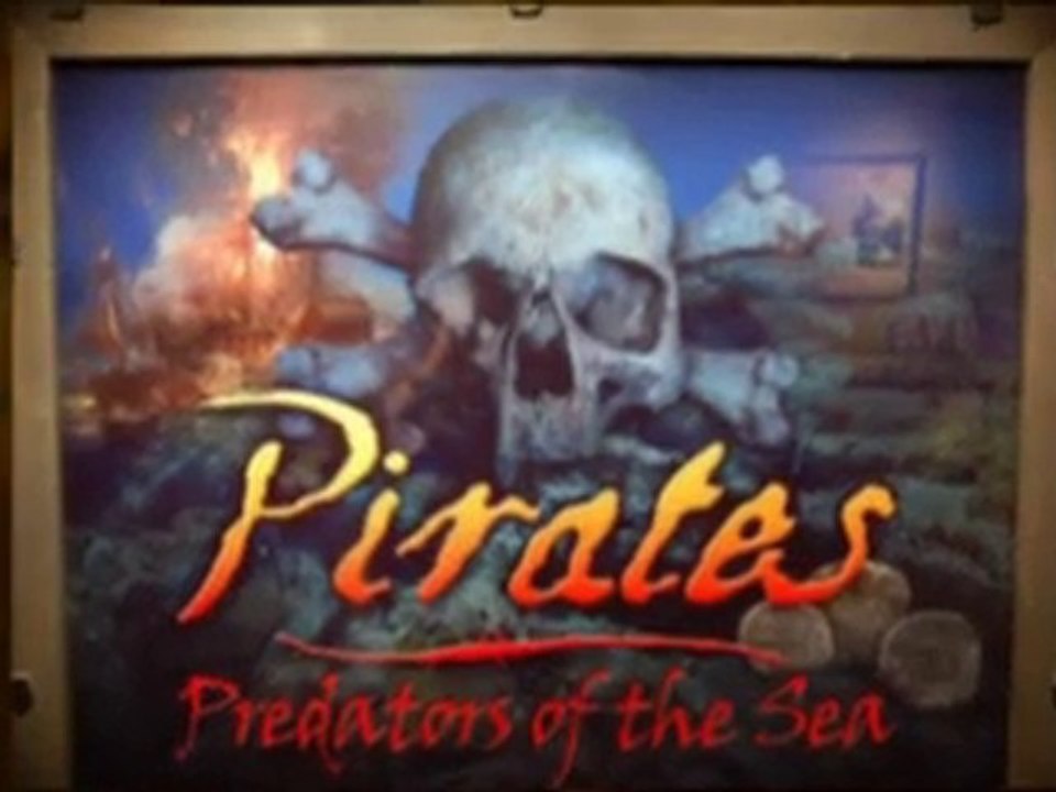 Things To Do In St Augustine - Ripley's