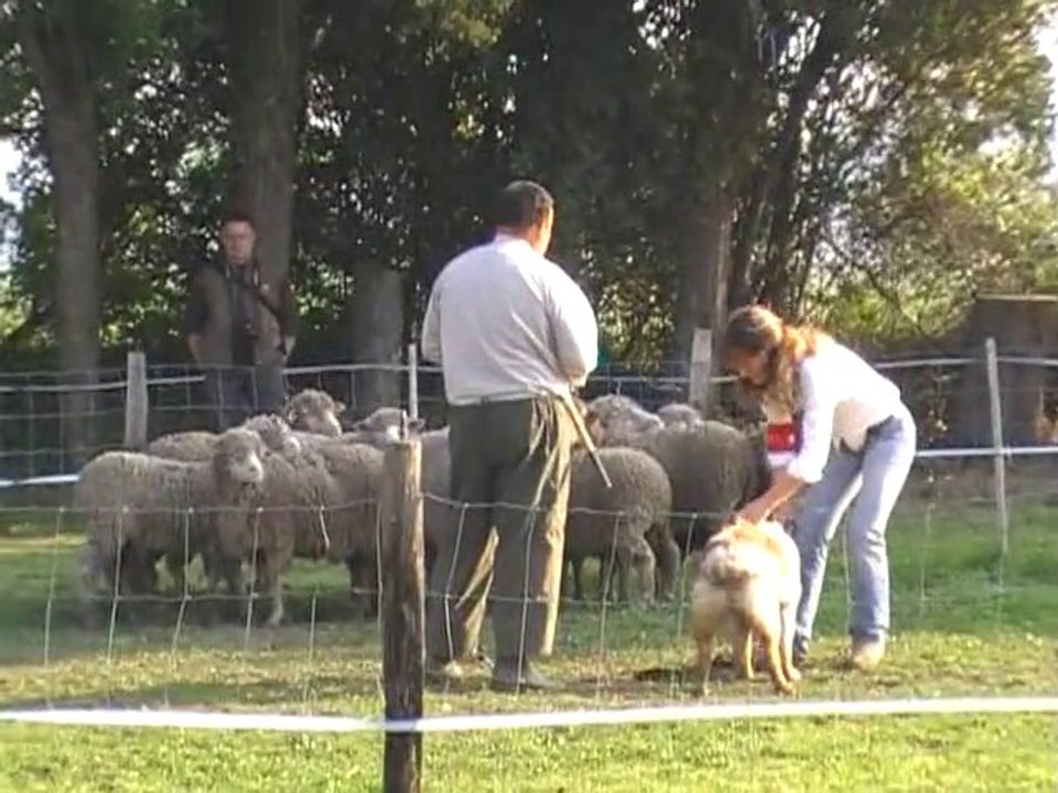 eternall cant 18.04.10