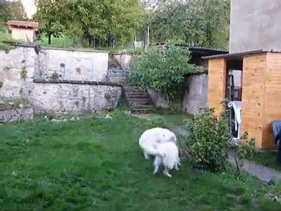 Ezack et Fly du jardin des lys blancs