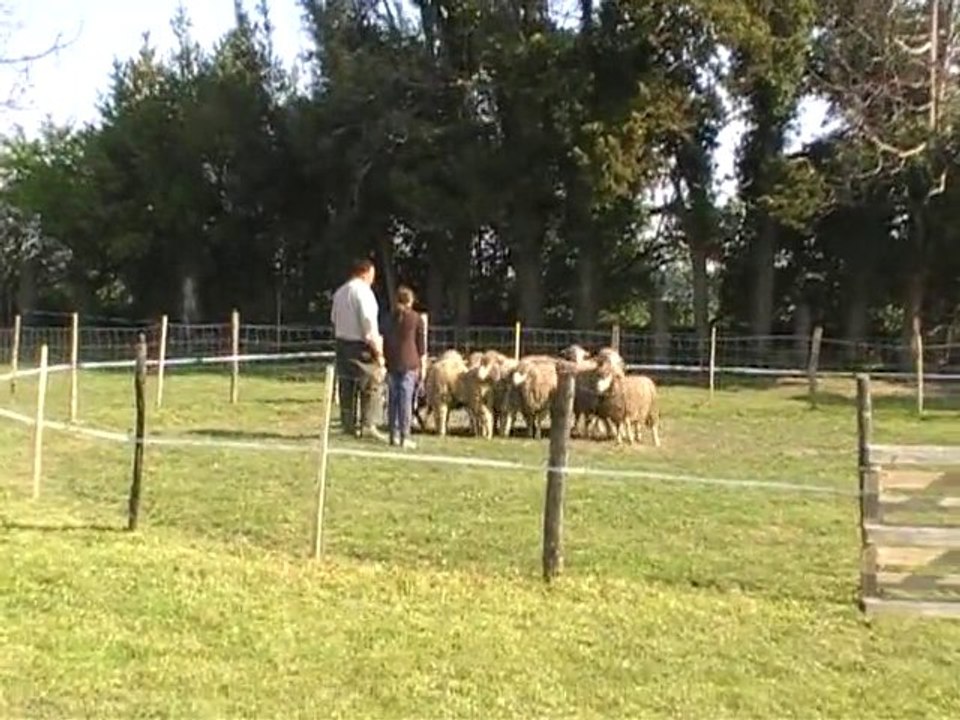 equidia cant 18.04.10