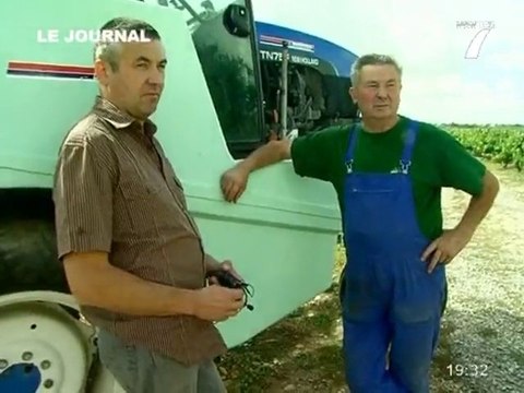 Les vendanges à Saint-Fiacre-sur-Maine