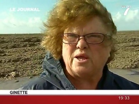 Pêche à pied miraculeuse à La Bernerie-en-Retz