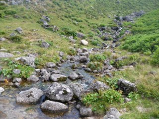 amlakit-yavuz bingö lwww kavrun.tr.gg