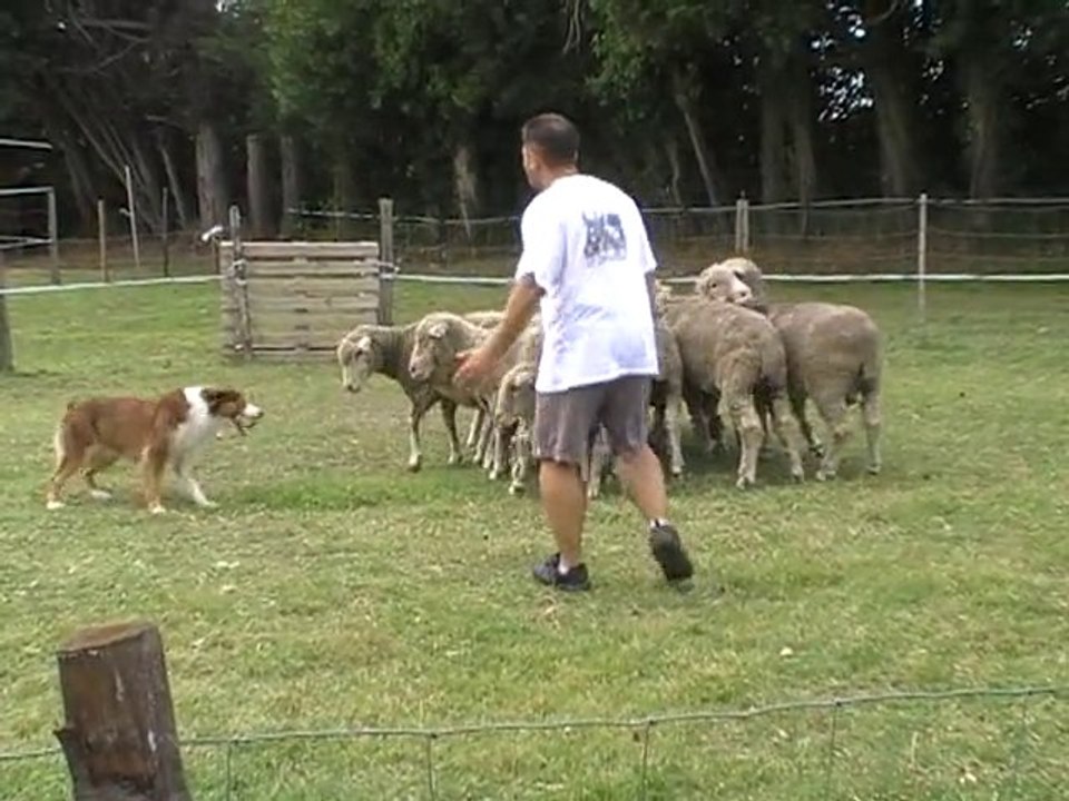 elixirr abaust 09.09.10