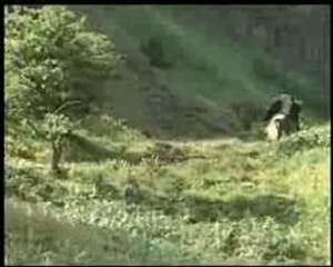 El Progreso del Peregrino 06