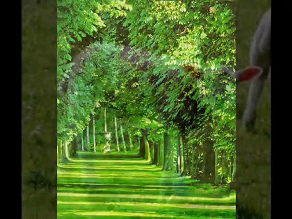 Aşık Veysel - Benim Sadık Yâr'im Kara Topraktır