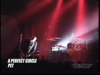 APC- Pet & Weak And Powerless