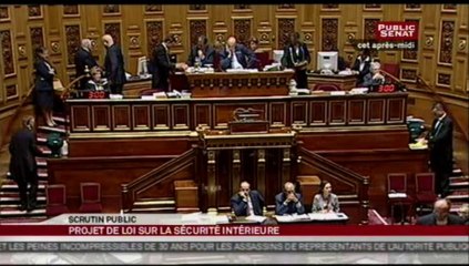 SEANCE,Examen du projet de loi LOPPSI 2