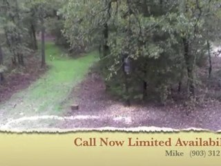 Whitetail Hunting North Texas East Texas